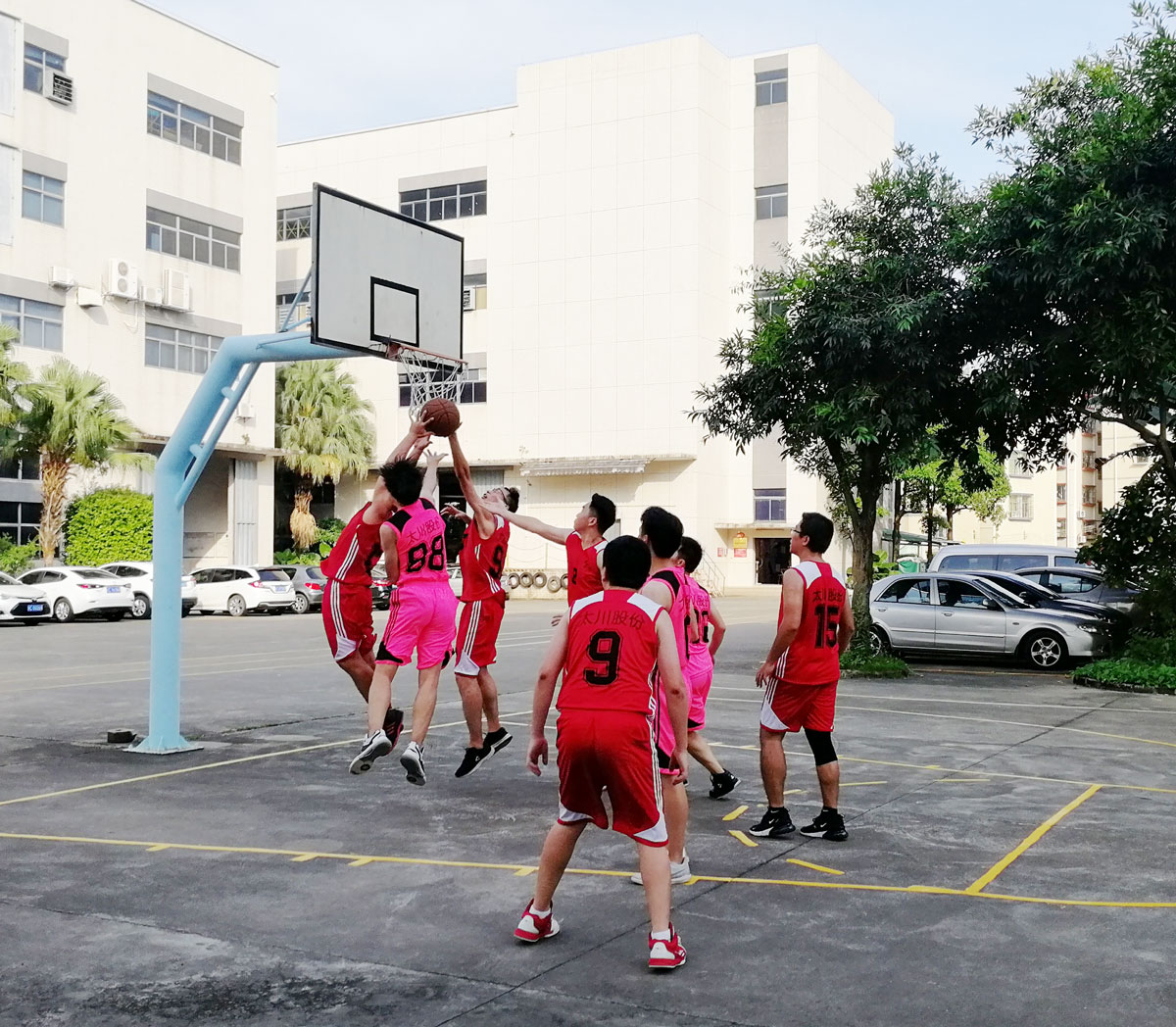 香港今晚开现场直播下载